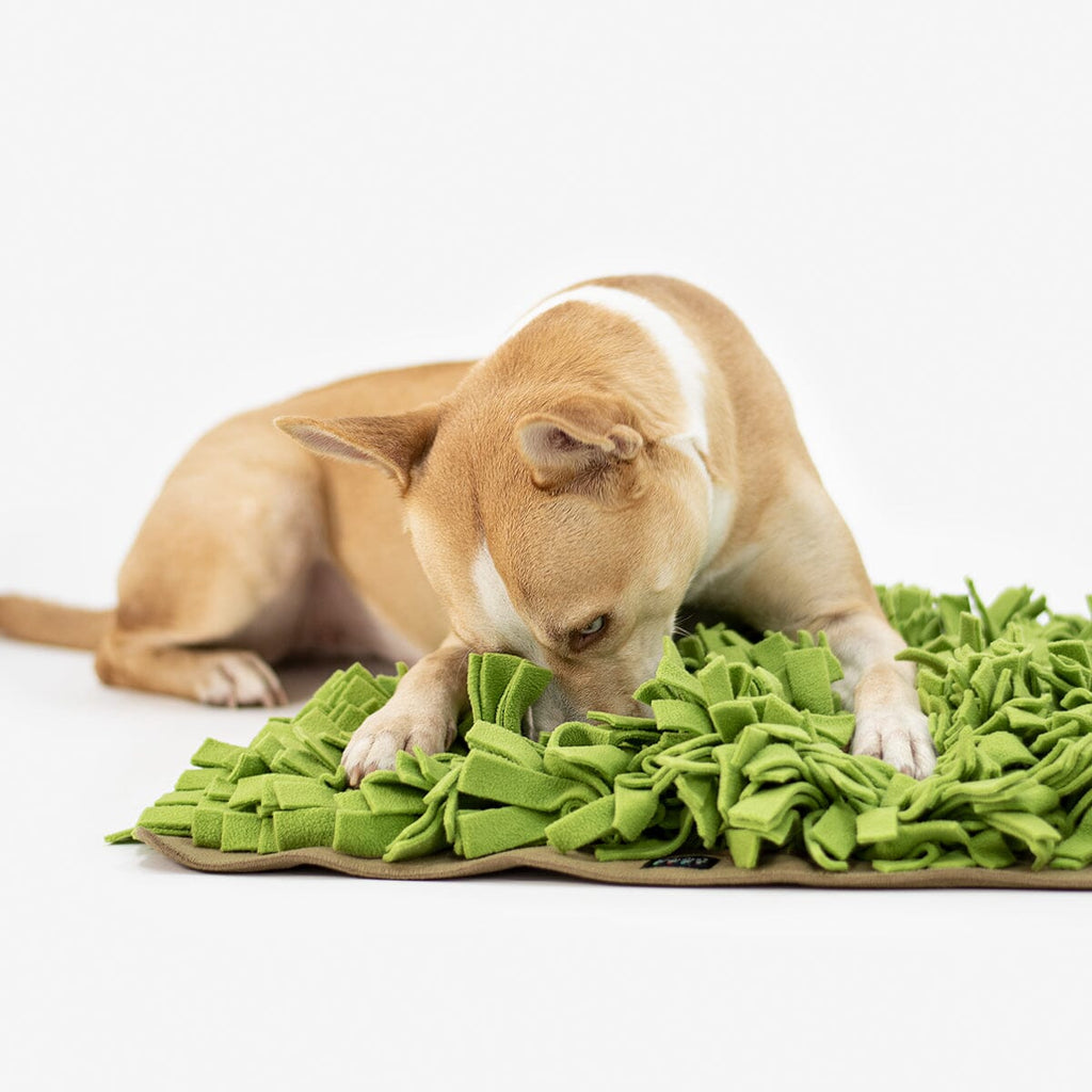 Spielzeug - Kuscheltiere