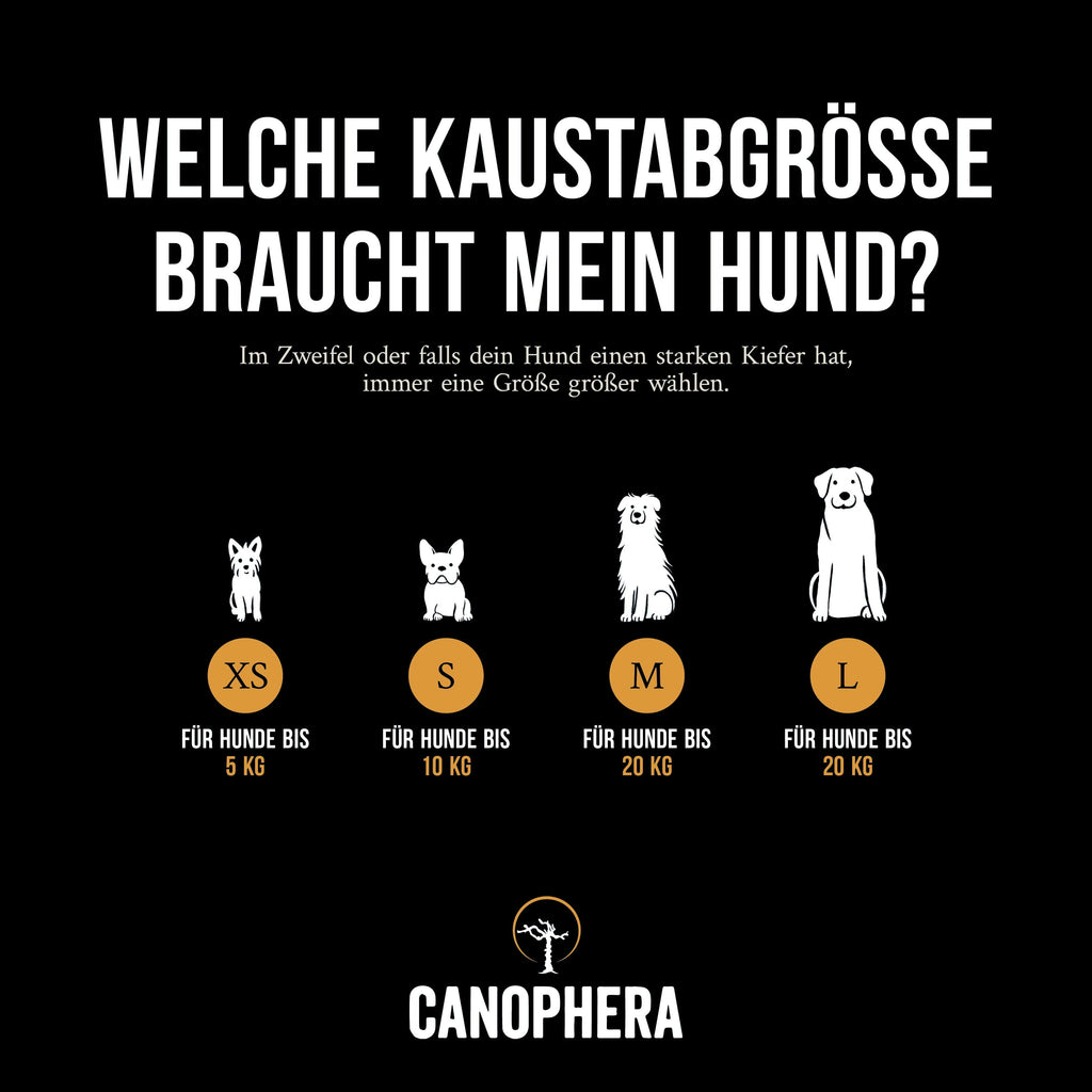 CANOPHERA | Kaustab aus Kaffeeholz Leckerlies Canophera 