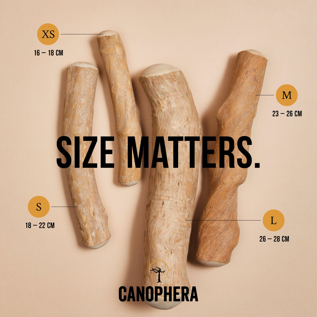 CANOPHERA | Kaustab aus Kaffeeholz Leckerlies Canophera 