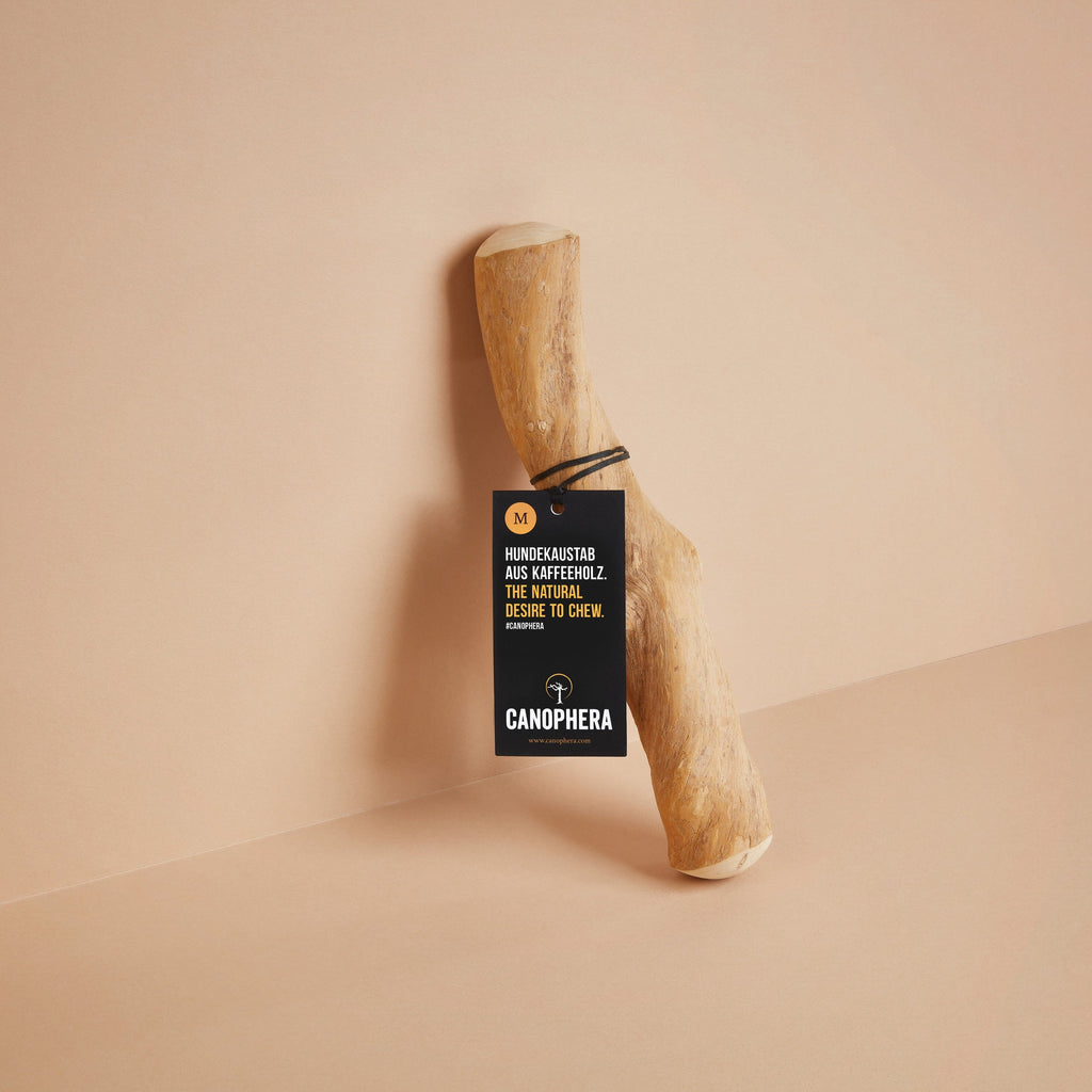 CANOPHERA | Kaustab aus Kaffeeholz Leckerlies Canophera M 