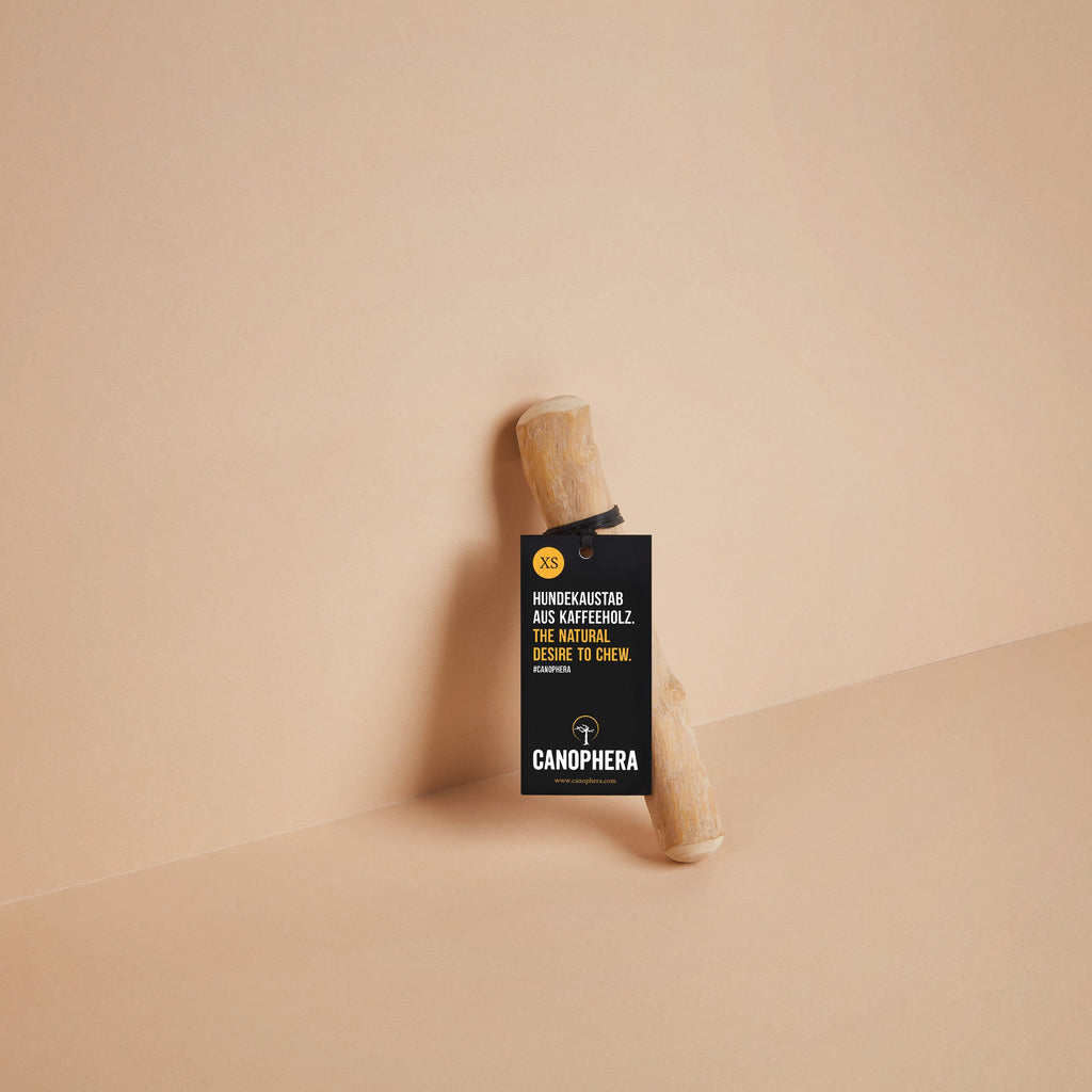 CANOPHERA | Kaustab aus Kaffeeholz Leckerlies Canophera XS 