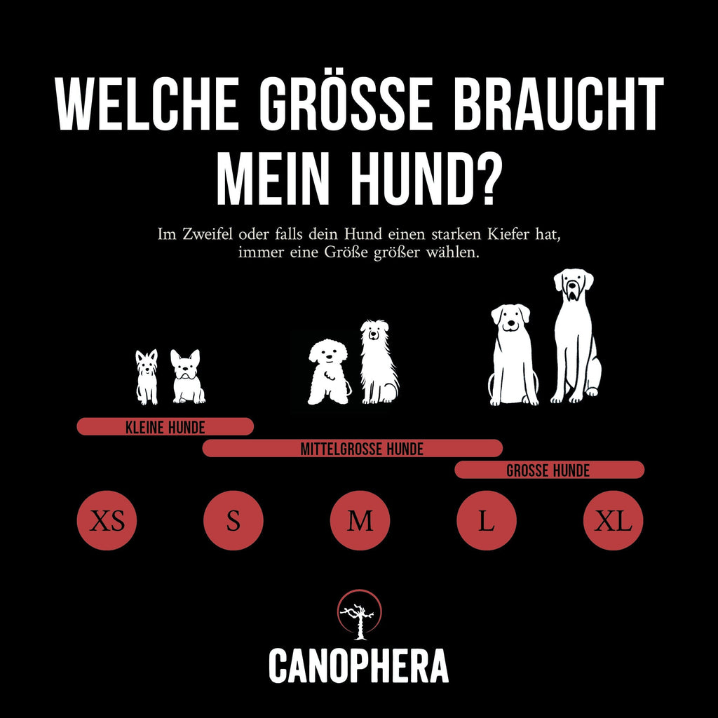 CANOPHERA | Rothirsch-Geweihhälfte Leckerlies Canophera 