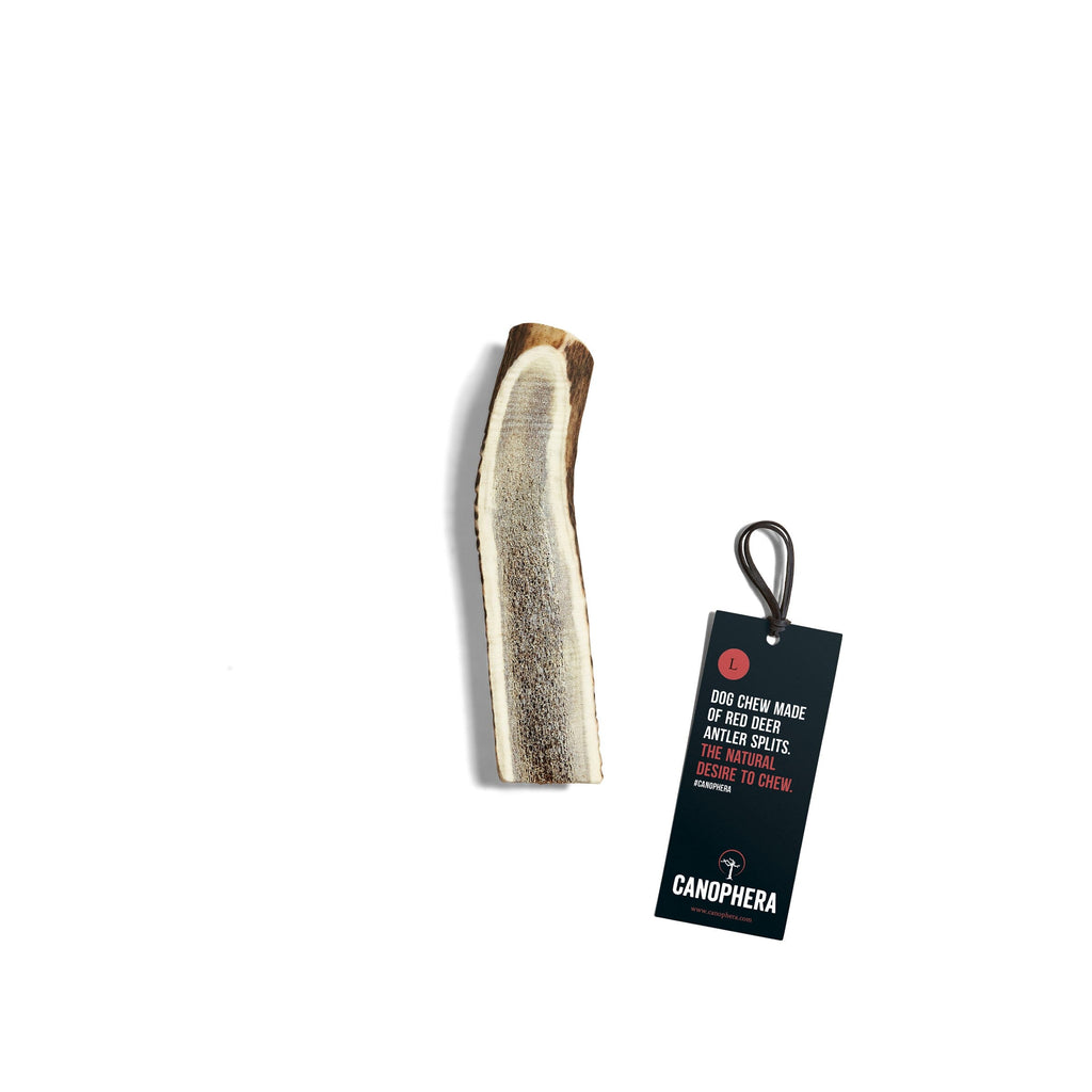 CANOPHERA | Rothirsch-Geweihhälfte Leckerlies Canophera L 