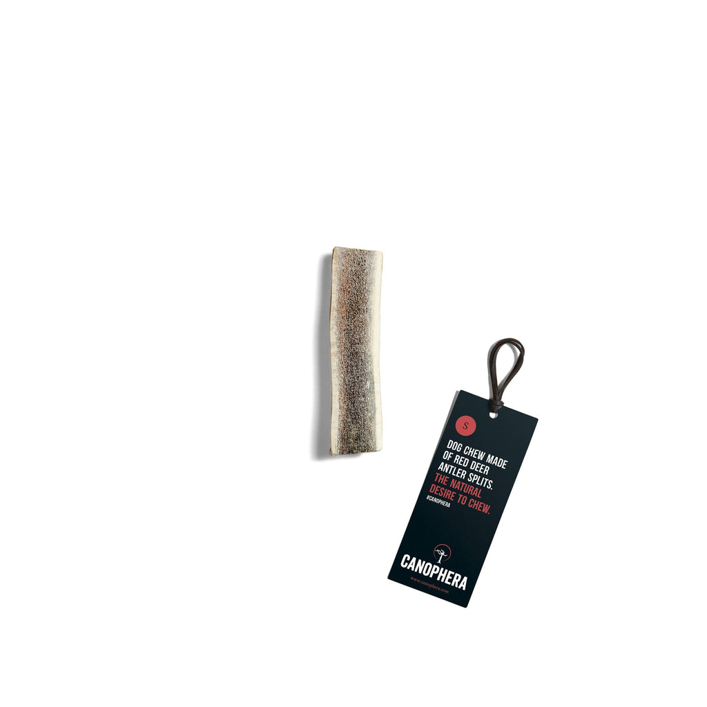 CANOPHERA | Rothirsch-Geweihhälfte Leckerlies Canophera S 