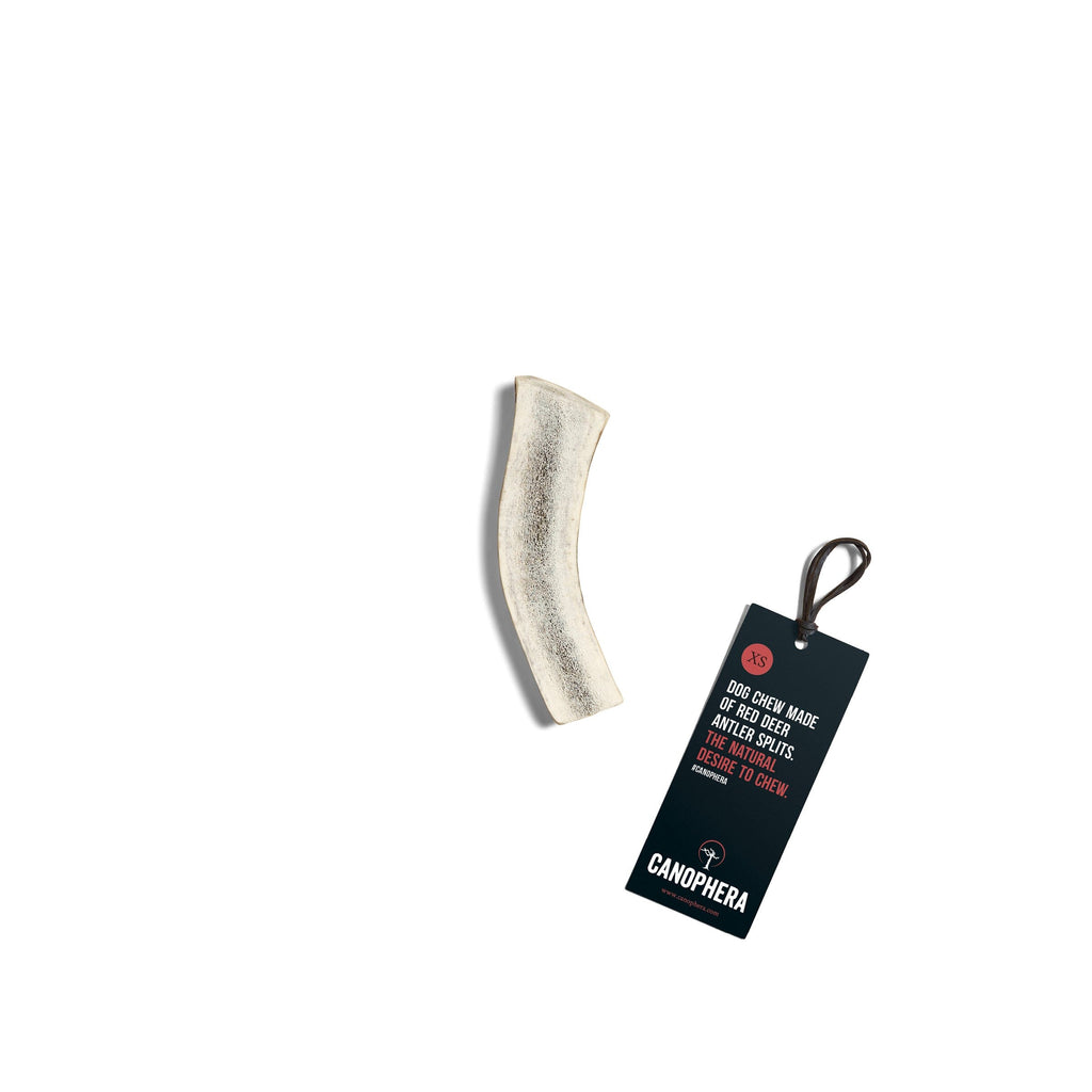 CANOPHERA | Rothirsch-Geweihhälfte Leckerlies Canophera XS 