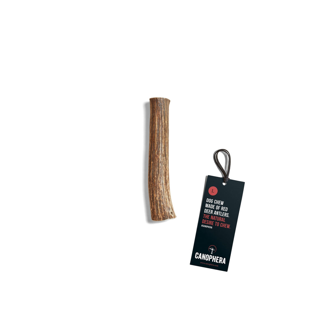 CANOPHERA | Rothirschgeweih Leckerlies Canophera L 