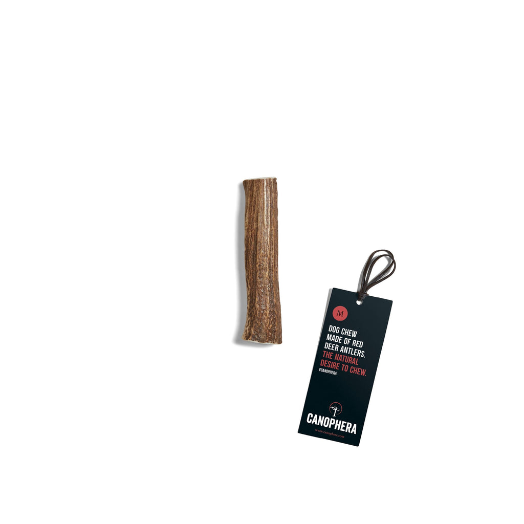 CANOPHERA | Rothirschgeweih Leckerlies Canophera M 