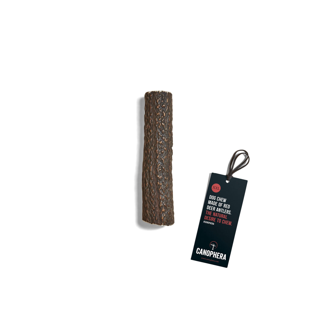 CANOPHERA | Rothirschgeweih Leckerlies Canophera XXL 