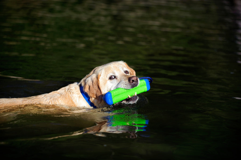 Chuckit! | Amphibious Bumper Hundespielzeug Chuckit 