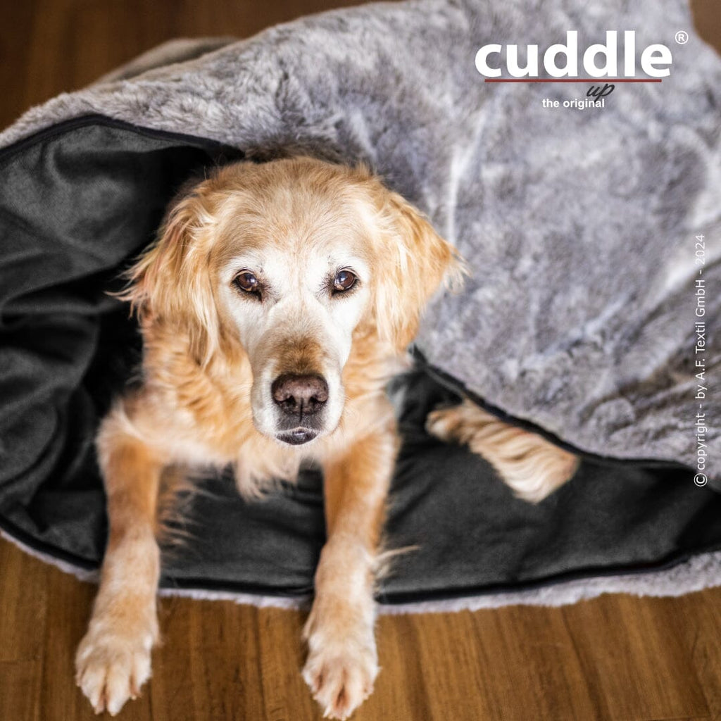 Cuddle up® | Der wandelbare Hundeliegeplatz Hundebett Action Factory 