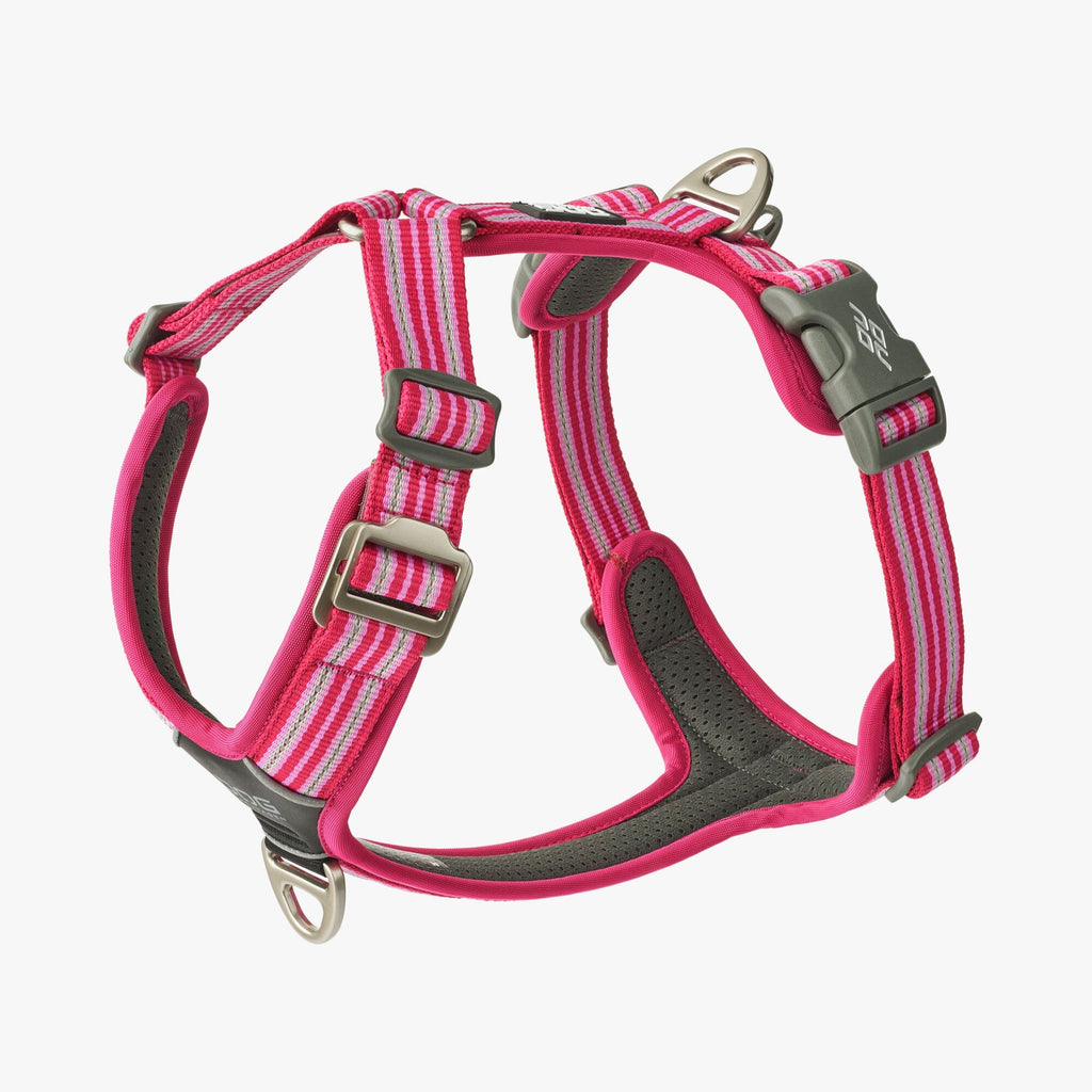 DOG Copenhagen | Comfort Walk Air™ Geschirre Dog Copenhagen XS Wild Rose 