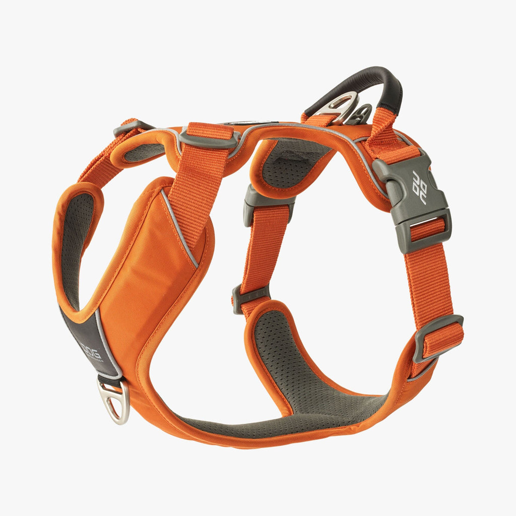 DOG Copenhagen | Comfort Walk Pro™ Geschirre Dog Copenhagen XS Orange Sun 