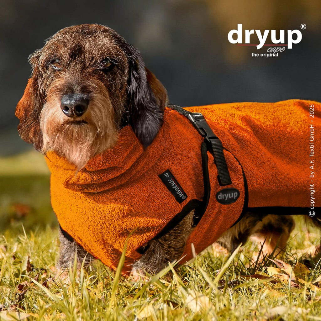 DRYUP® CAPE - DER ORIGINAL HUNDEBADEMANTEL | Dackel Hundebekleidung Action Factory 