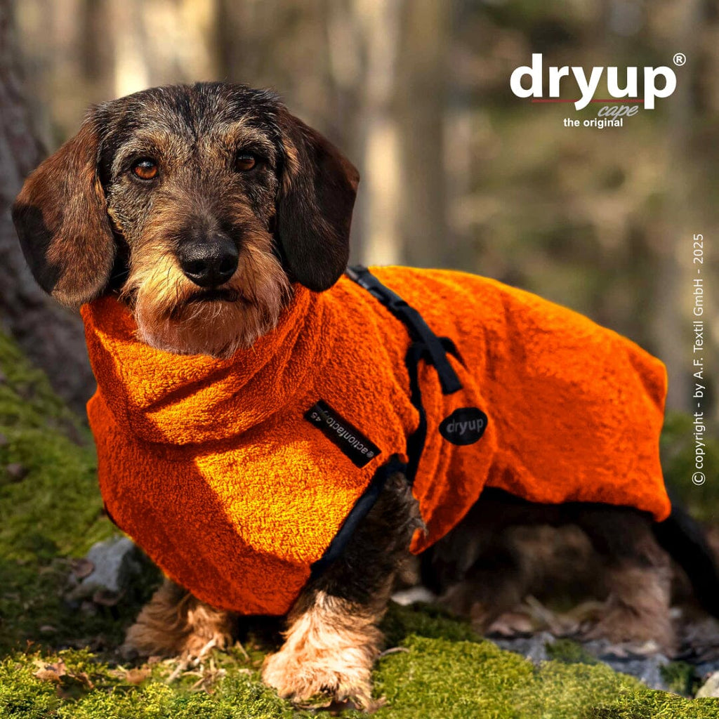 DRYUP® CAPE - DER ORIGINAL HUNDEBADEMANTEL | Dackel Hundebekleidung Action Factory 