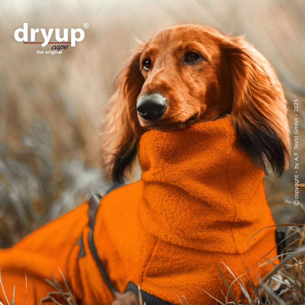 DRYUP® CAPE - DER ORIGINAL HUNDEBADEMANTEL | Dackel Hundebekleidung Action Factory 