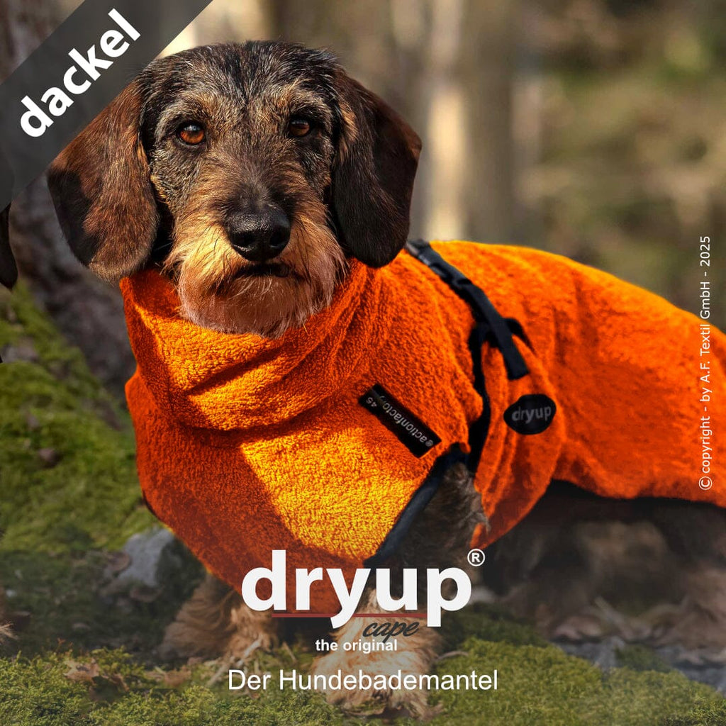 DRYUP® CAPE - DER ORIGINAL HUNDEBADEMANTEL | Dackel Hundebekleidung Action Factory Clementine 30 