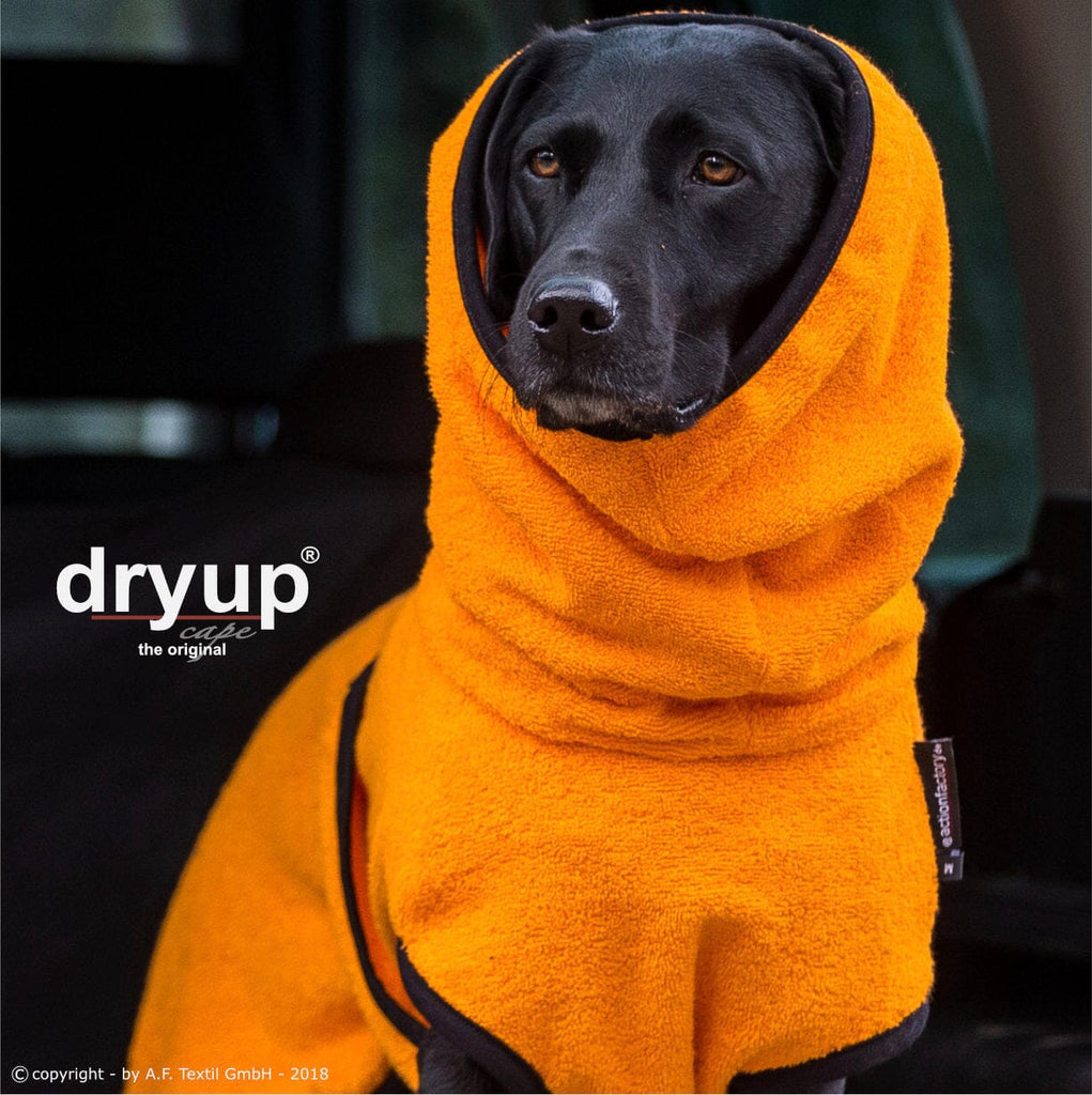 DRYUP® CAPE - DER ORIGINAL HUNDEBADEMANTEL Hundebekleidung Action Factory Clementine (Orange) XS 