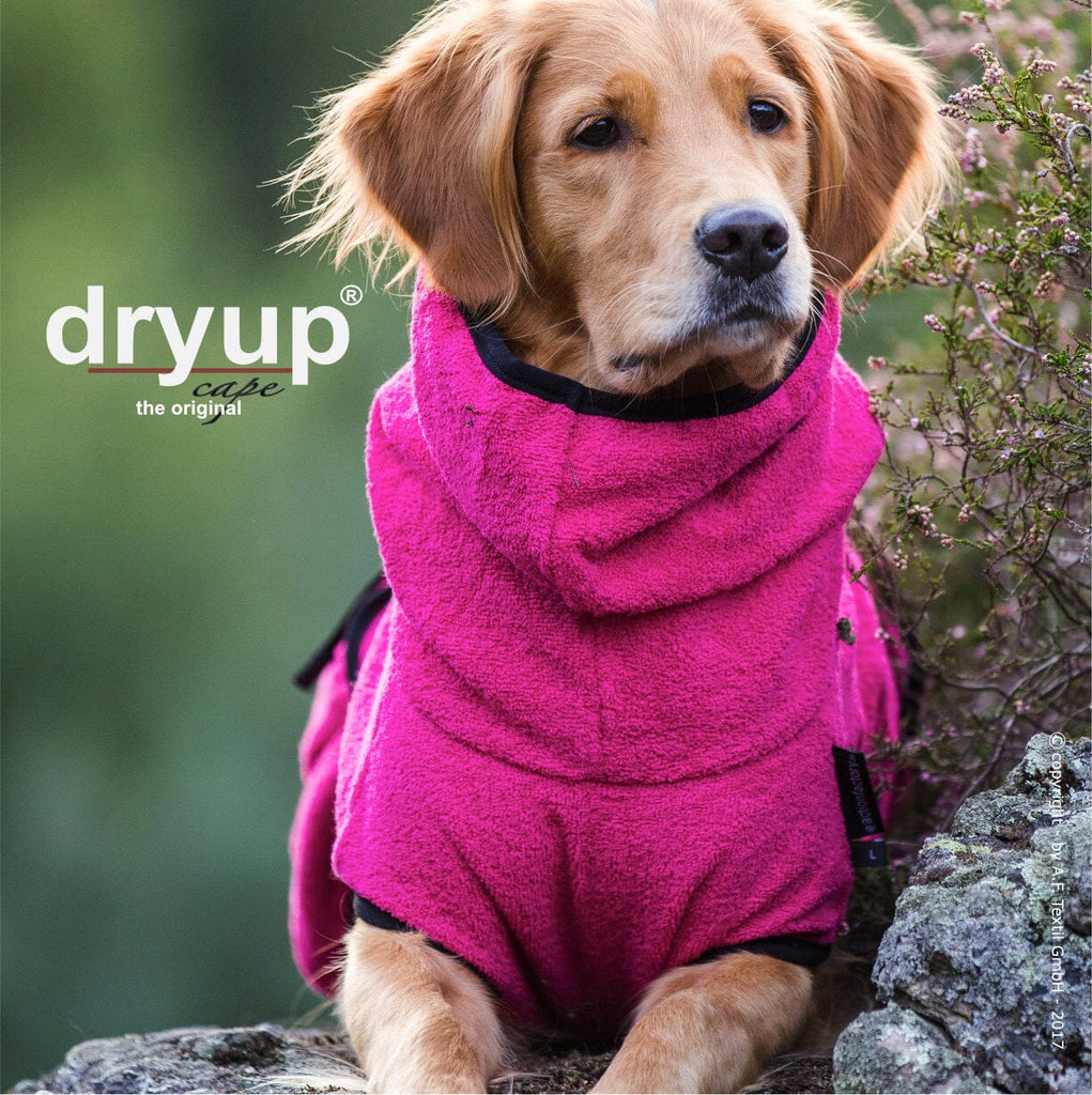 DRYUP® CAPE - DER ORIGINAL HUNDEBADEMANTEL Hundebekleidung Action Factory Pink XS 