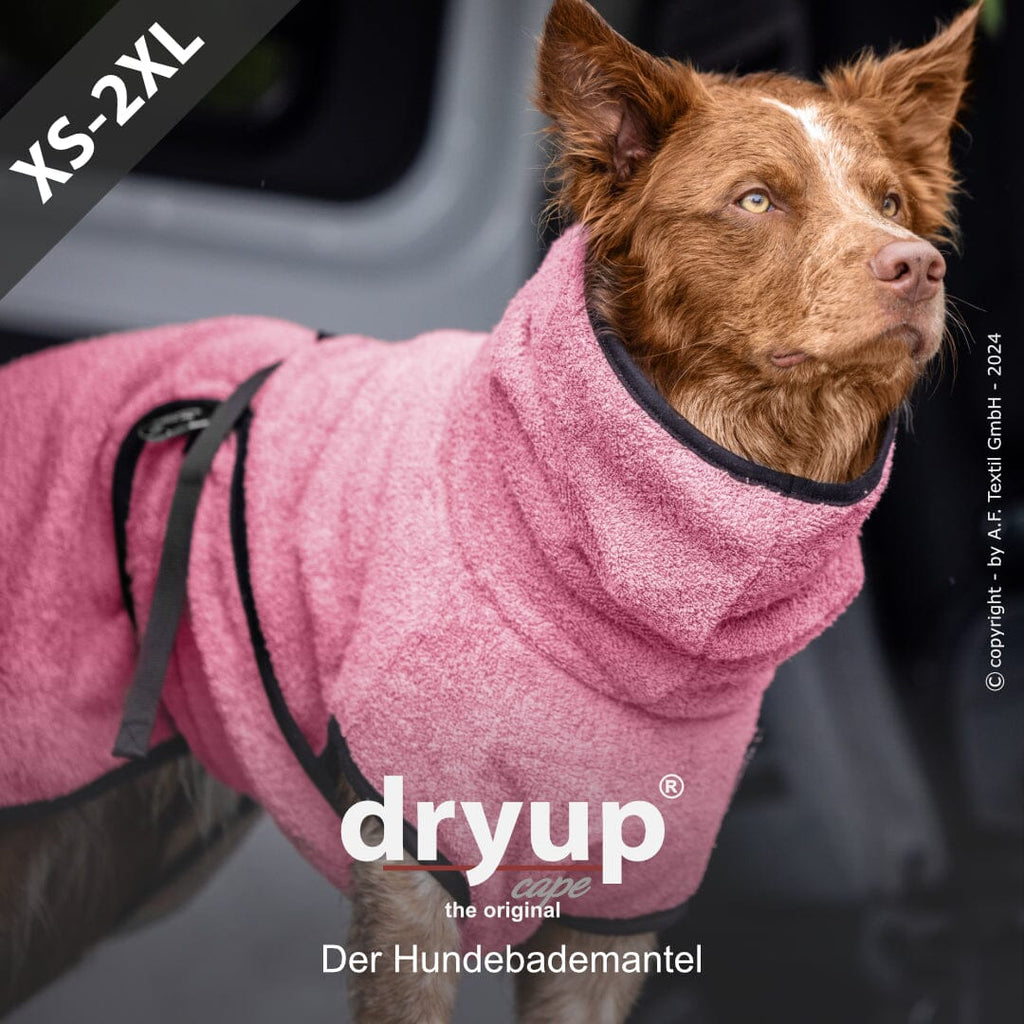 DRYUP® CAPE - DER ORIGINAL HUNDEBADEMANTEL Hundebekleidung Action Factory Rosé XS 