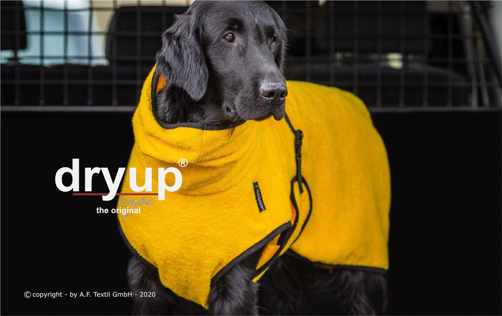 DRYUP® CAPE - DER ORIGINAL HUNDEBADEMANTEL Hundebekleidung Action Factory Yellow XS 