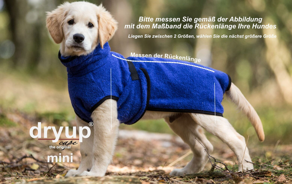 DRYUP® CAPE - DER ORIGINAL HUNDEBADEMANTEL | Mini Hundebekleidung Action Factory 