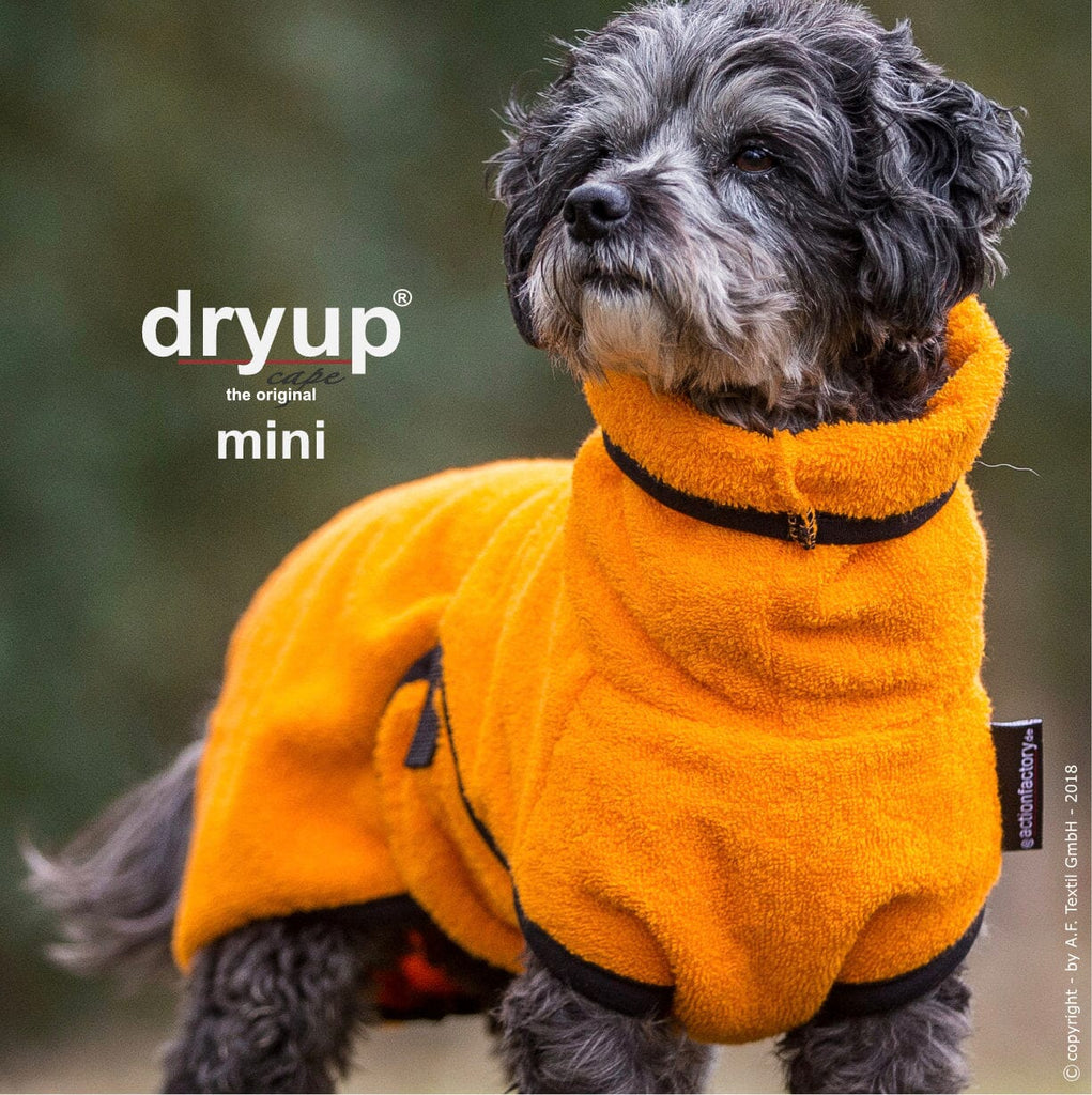 DRYUP® CAPE - DER ORIGINAL HUNDEBADEMANTEL | Mini Hundebekleidung Action Factory Clemen 30 