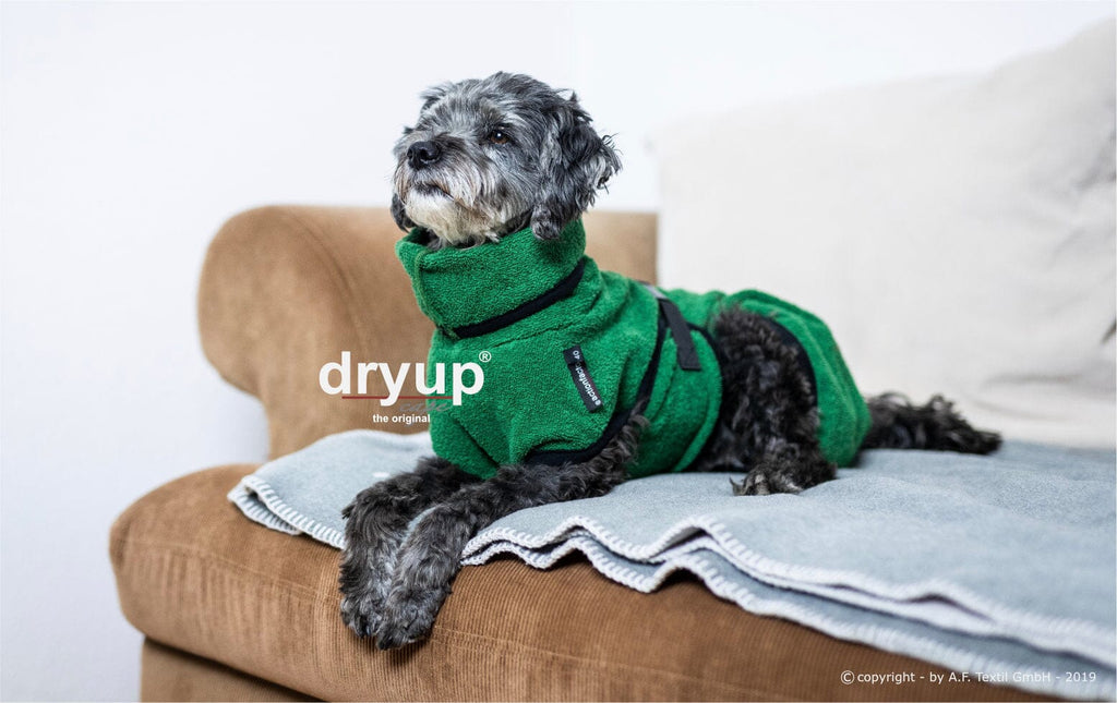 DRYUP® CAPE - DER ORIGINAL HUNDEBADEMANTEL | Mini Hundebekleidung Action Factory Dark Green 30 