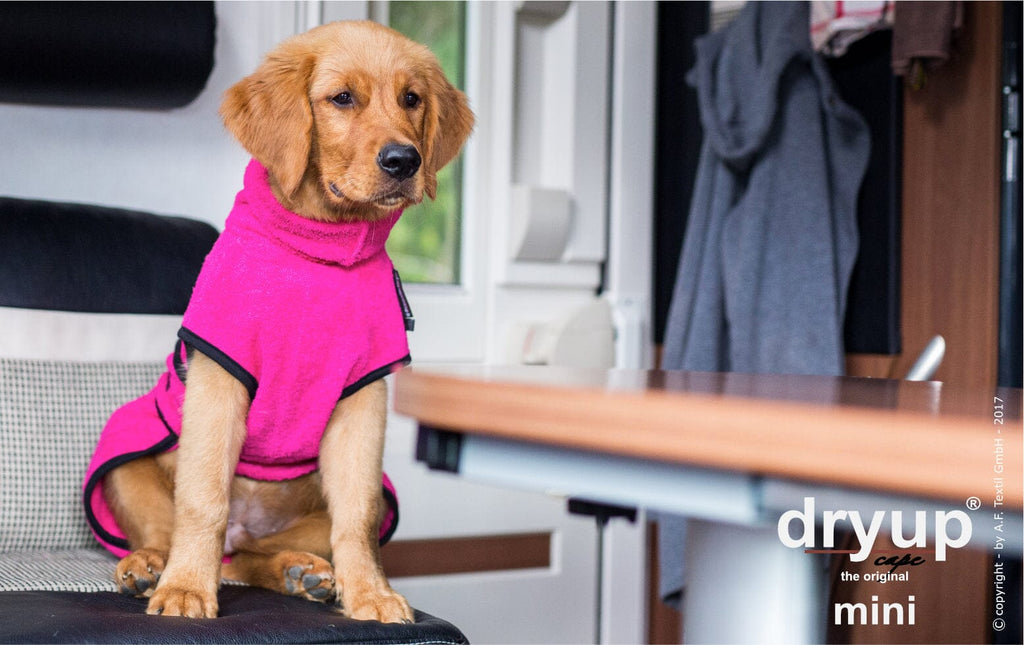 DRYUP® CAPE - DER ORIGINAL HUNDEBADEMANTEL | Mini Hundebekleidung Action Factory Pink 30 