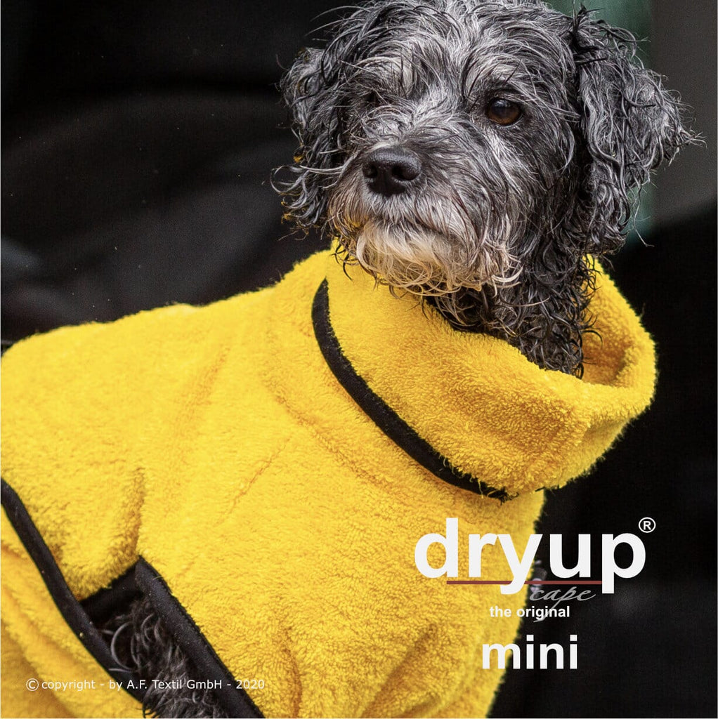 DRYUP® CAPE - DER ORIGINAL HUNDEBADEMANTEL | Mini Hundebekleidung Action Factory Yellow 30 