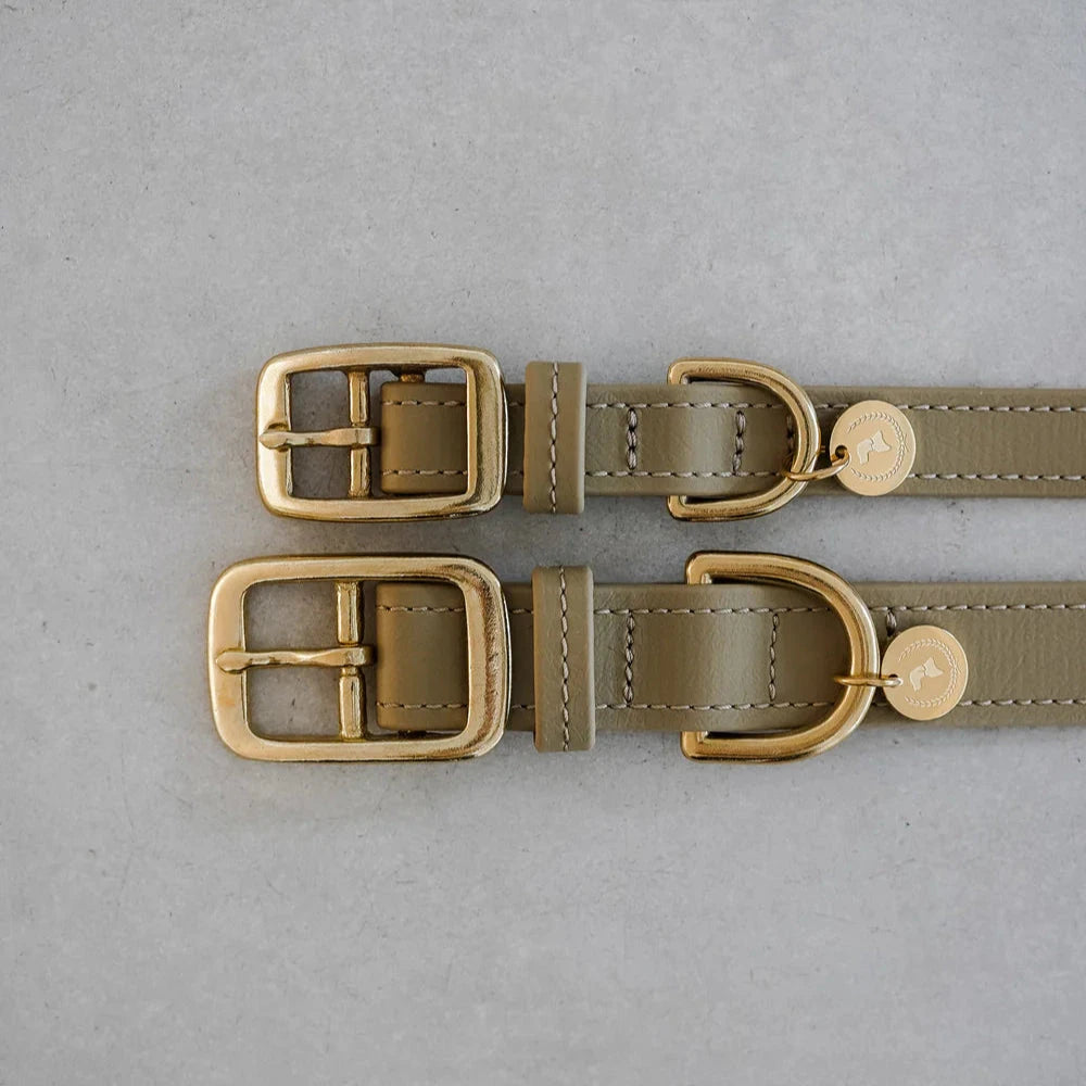 Fatissimo | Biothane Halsband Classic Halsband Fatissimo 