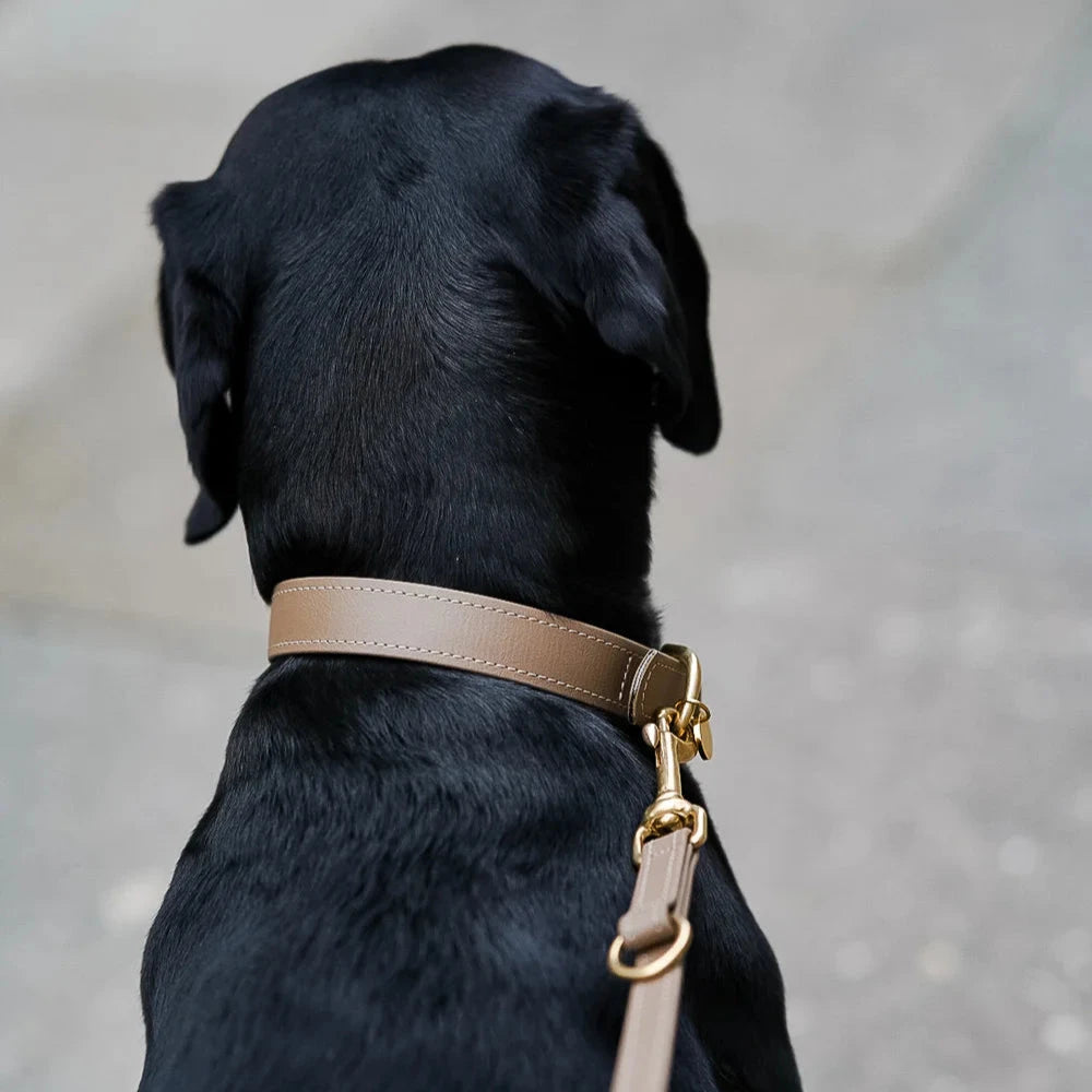 Fatissimo | Biothane Halsband Classic Halsband Fatissimo 