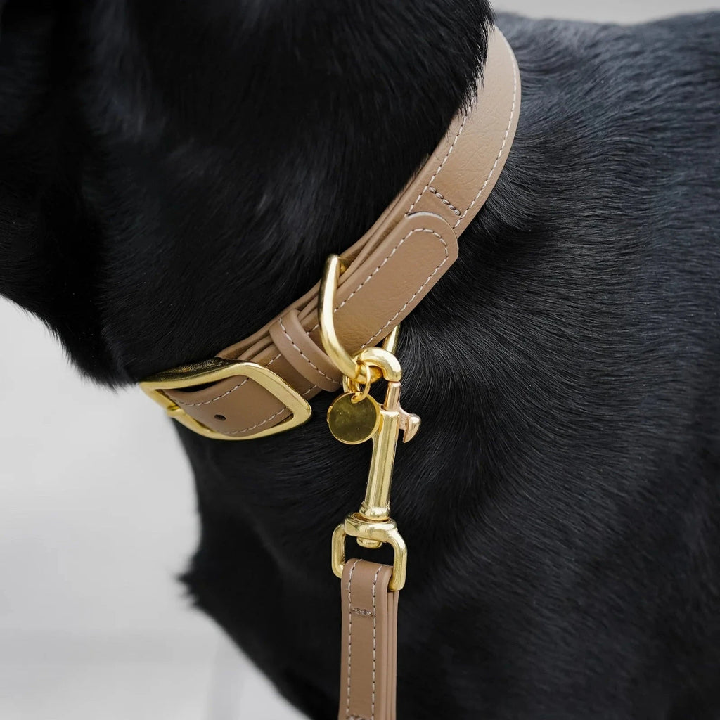 Fatissimo | Biothane Halsband Classic Halsband Fatissimo 