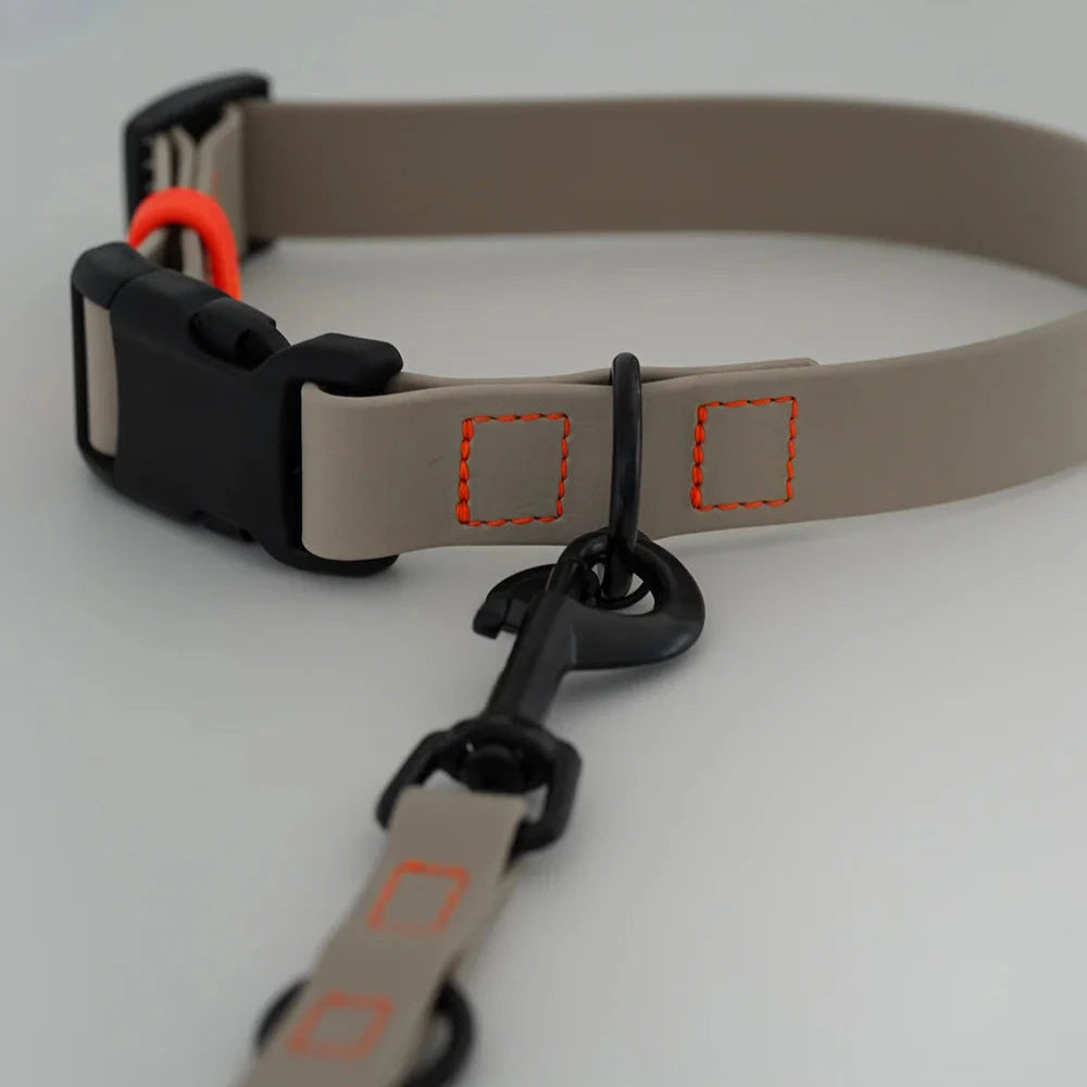 Fatissimo | Biothane Halsband NEMI KLICK Halsband Fatissimo 