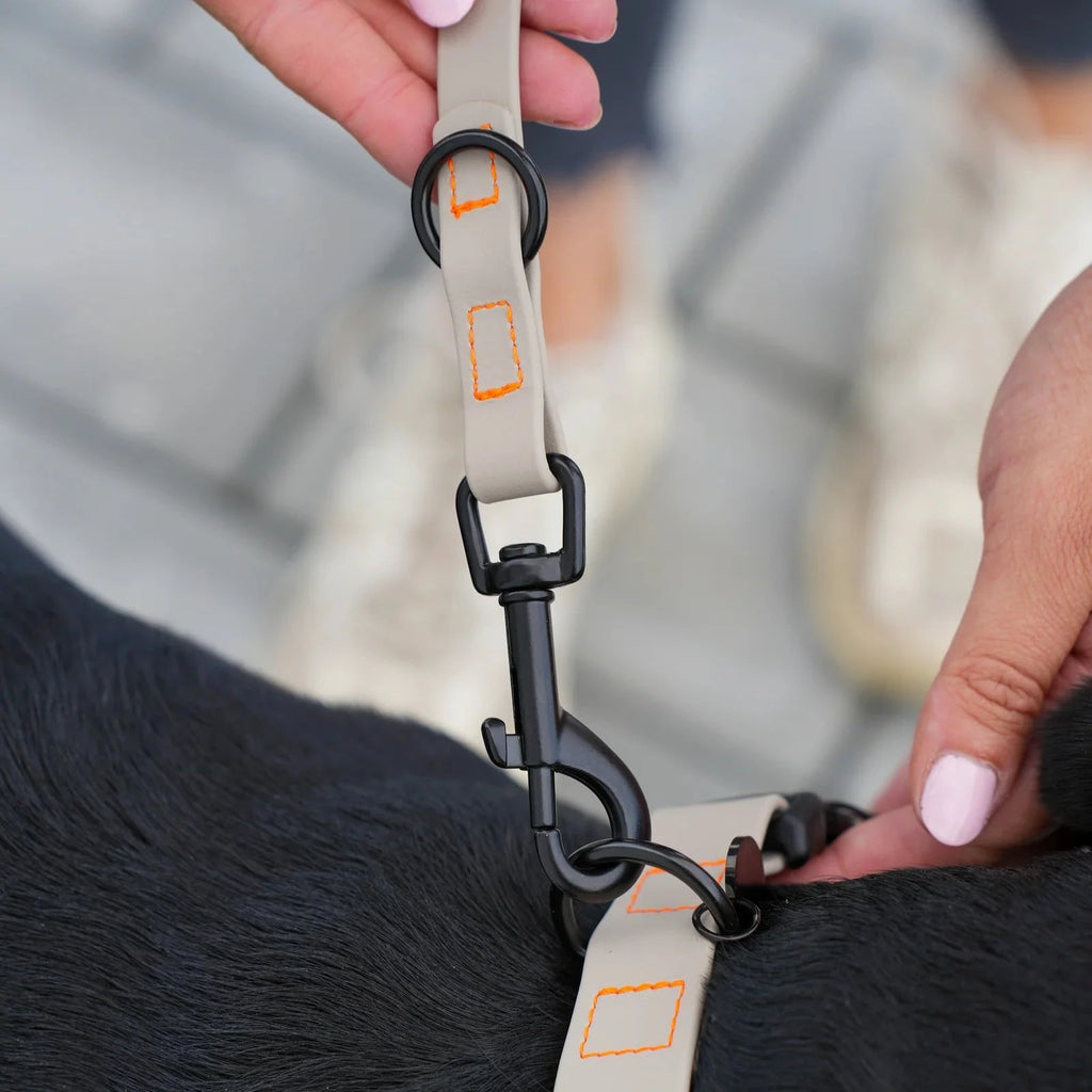 Fatissimo | Biothane Halsband NEMI KLICK Halsband Fatissimo 