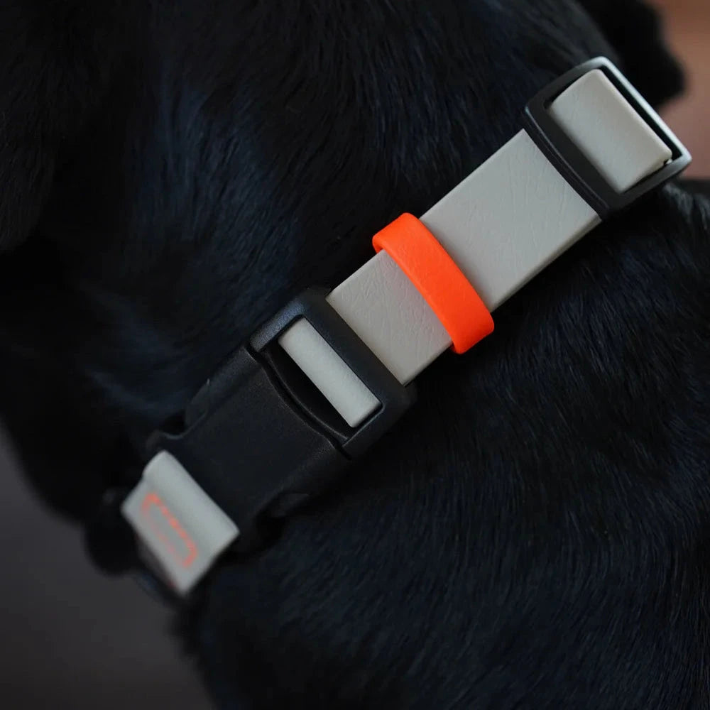 Fatissimo | Biothane Halsband NEMI KLICK Halsband Fatissimo 