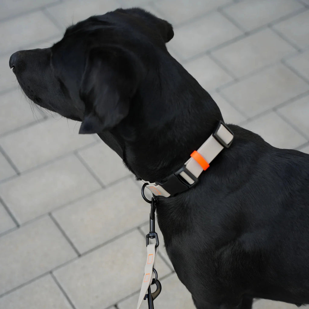 Fatissimo | Biothane Halsband NEMI KLICK Halsband Fatissimo 