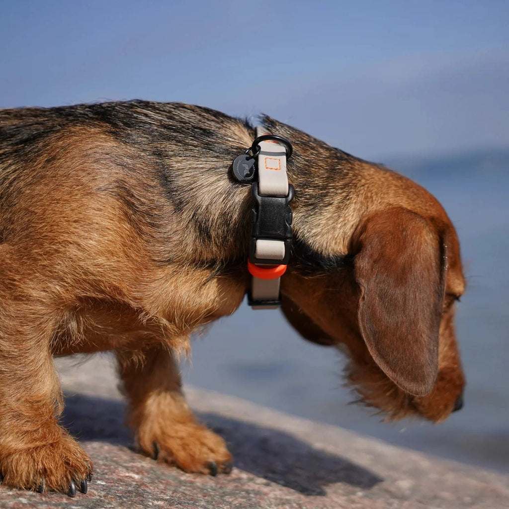 Fatissimo | Biothane Halsband NEMI KLICK SMALL Halsband Fatissimo 