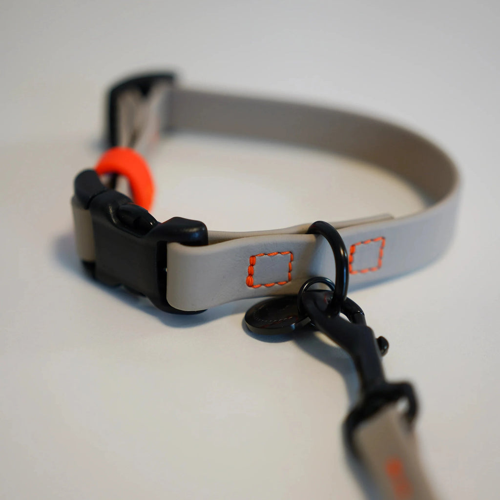 Fatissimo | Biothane Halsband NEMI KLICK SMALL Halsband Fatissimo 