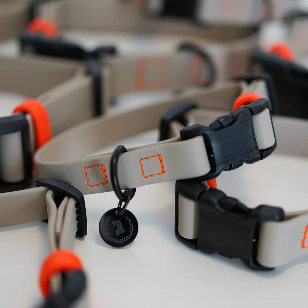 Fatissimo | Biothane Halsband NEMI KLICK SMALL Halsband Fatissimo 