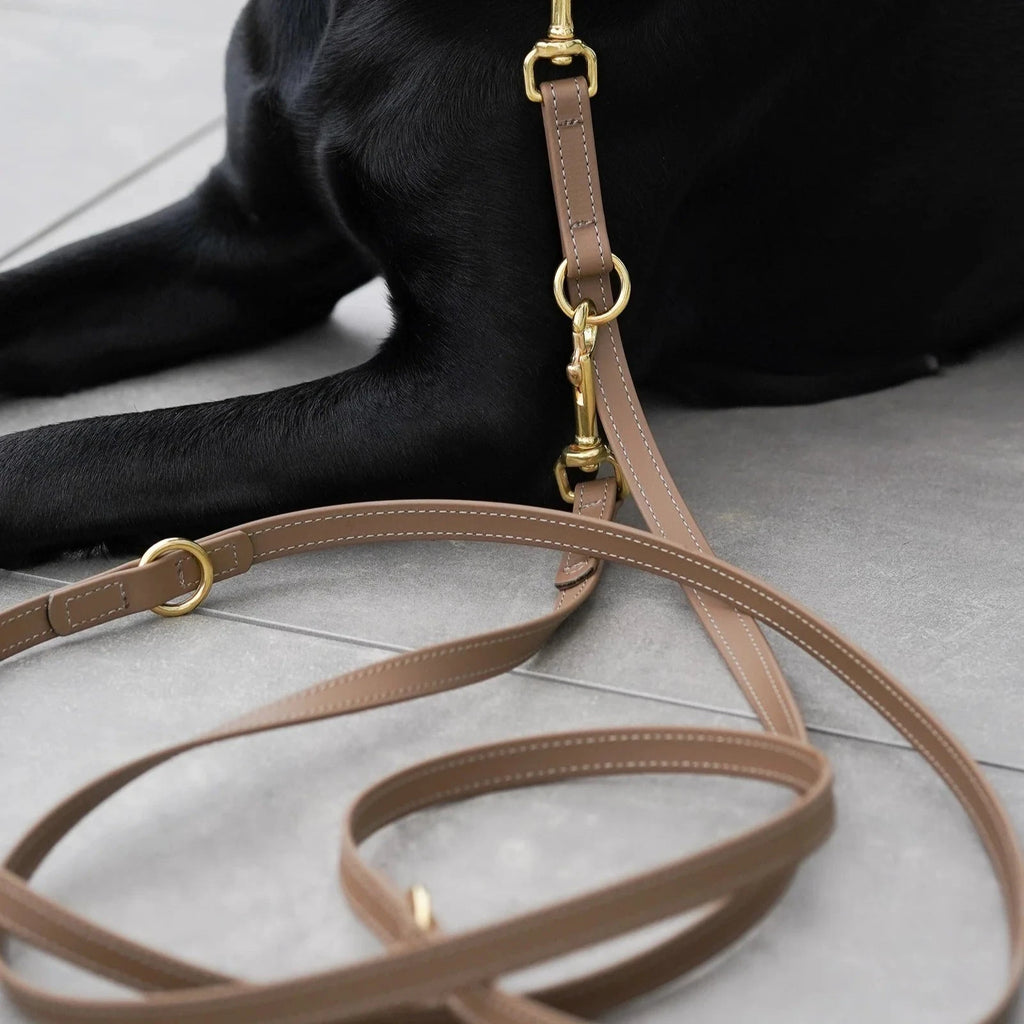 Fatissimo | Biothane Leine Classic Leinen Fatissimo 