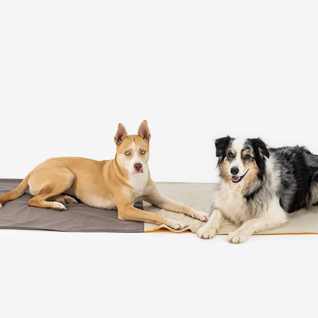 KNAUDER´S BEST | Easy Travel Pad Hundebett Knauders Best 