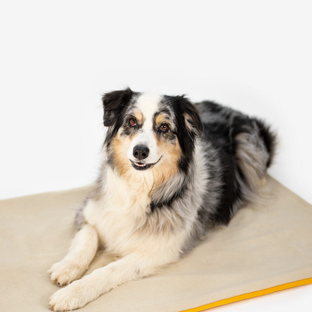 KNAUDER´S BEST | Easy Travel Pad Hundebett Knauders Best 