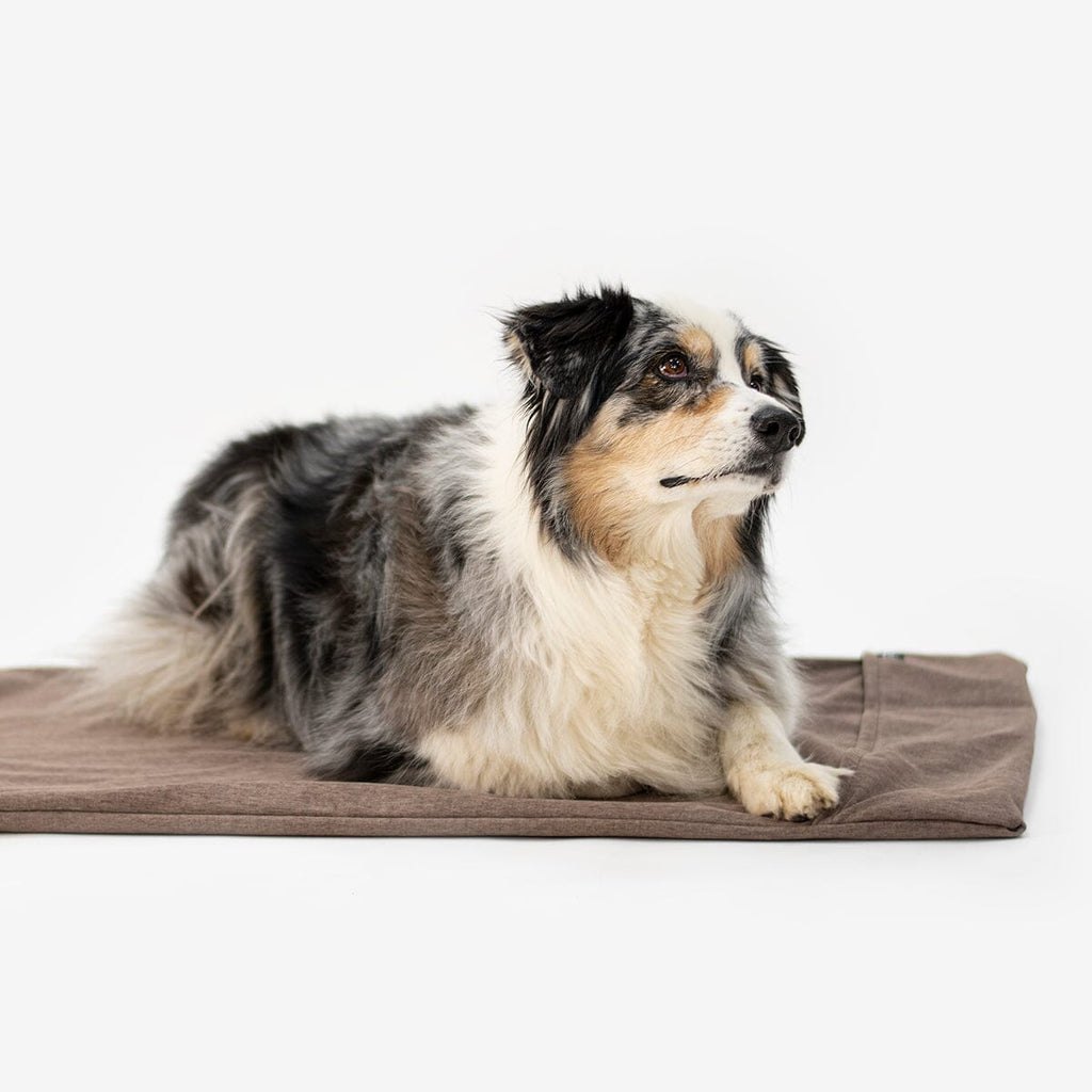 KNAUDER´S BEST | Easy Travel Pad Hundebett Knauders Best 