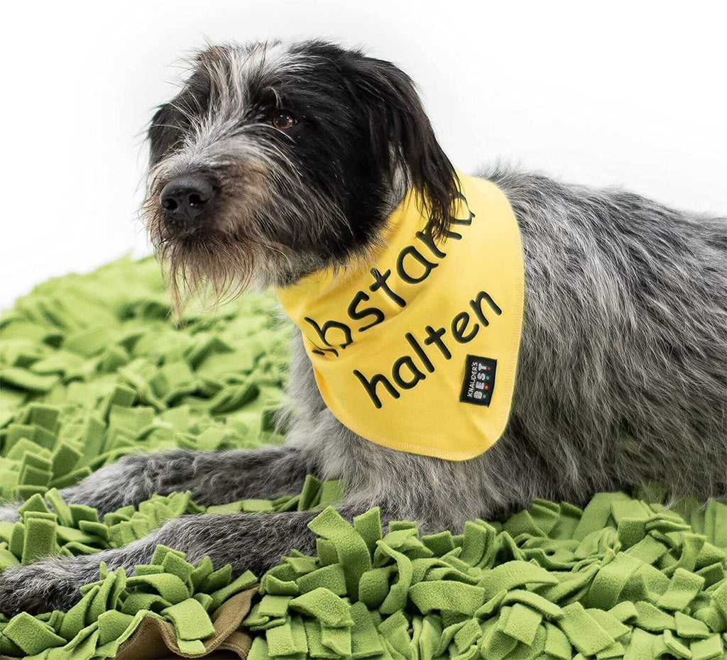 KNAUDER´S BEST | Halstuch - Abstand halten Hundebekleidung Knauders Best 