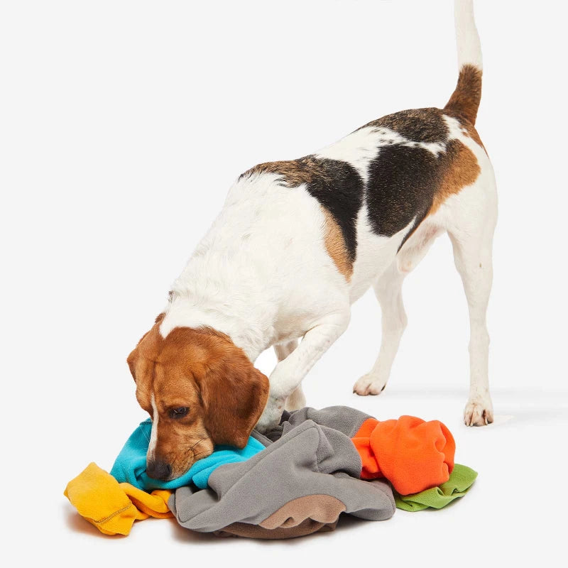 KNAUDER´S BEST | Sniffmaster Hundespielzeug Knauders Best 