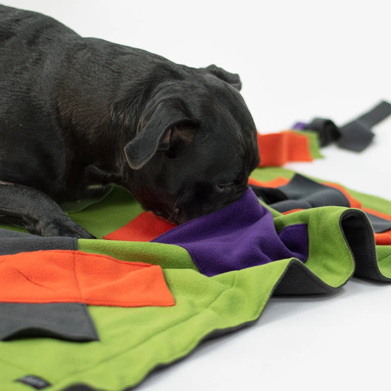 KNAUDER´S BEST | Sniffpad Classic Hundespielzeug Knauders Best 