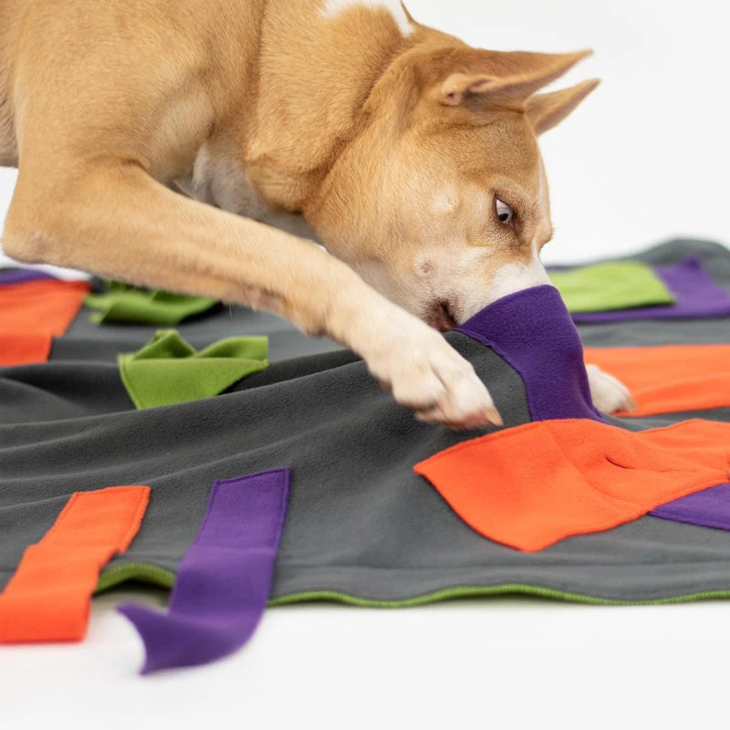 KNAUDER´S BEST | Sniffpad Classic Hundespielzeug Knauders Best 