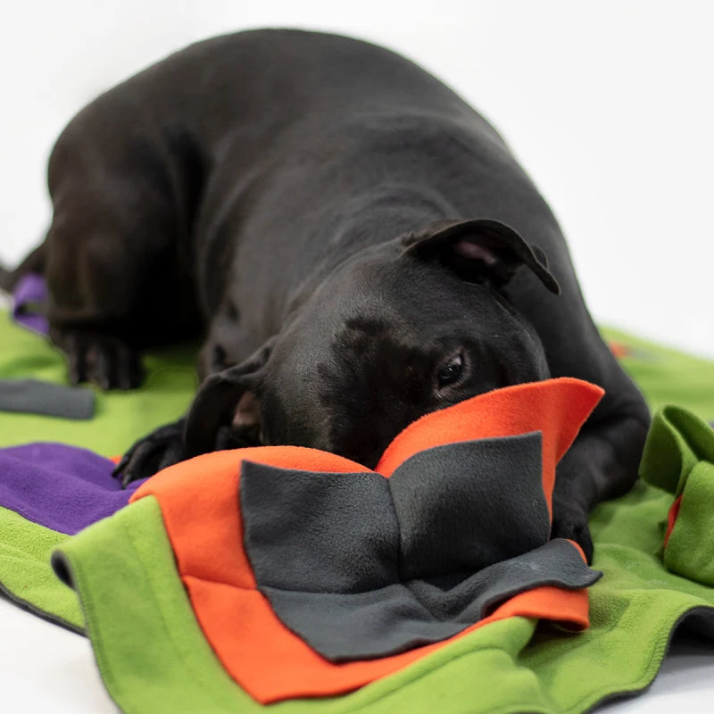 KNAUDER´S BEST | Sniffpad Classic Hundespielzeug Knauders Best 