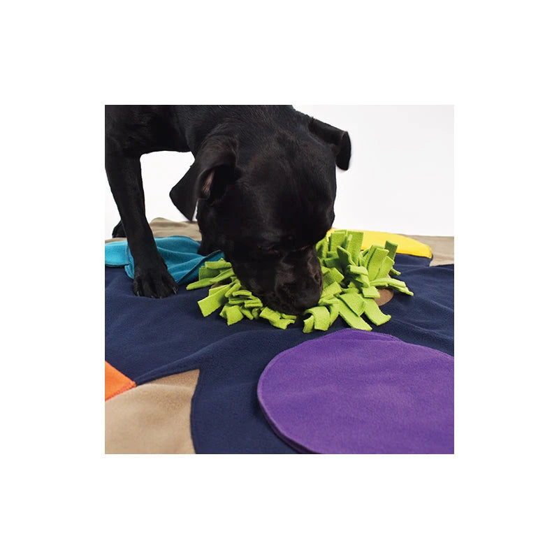 KNAUDER´S BEST | Sniffpad Flower Hundespielzeug Knauders Best 