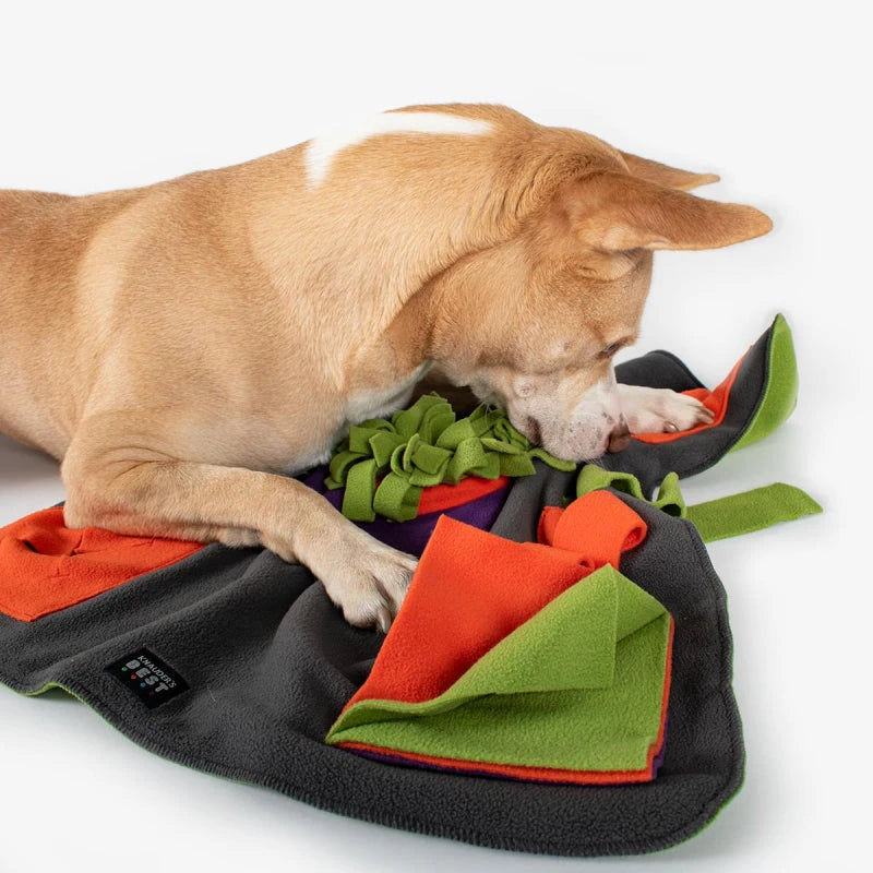 KNAUDER´S BEST - Sniffpad Happy Hundespielzeug Knauders Best 